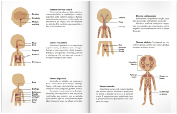 Escolinha MONTESSORI Meu Primeiro BOX de Atividades: Corpo Humano - Image 3