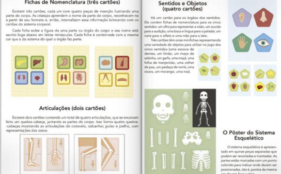 Escolinha MONTESSORI Meu Primeiro BOX de Atividades: Corpo Humano - Image 4